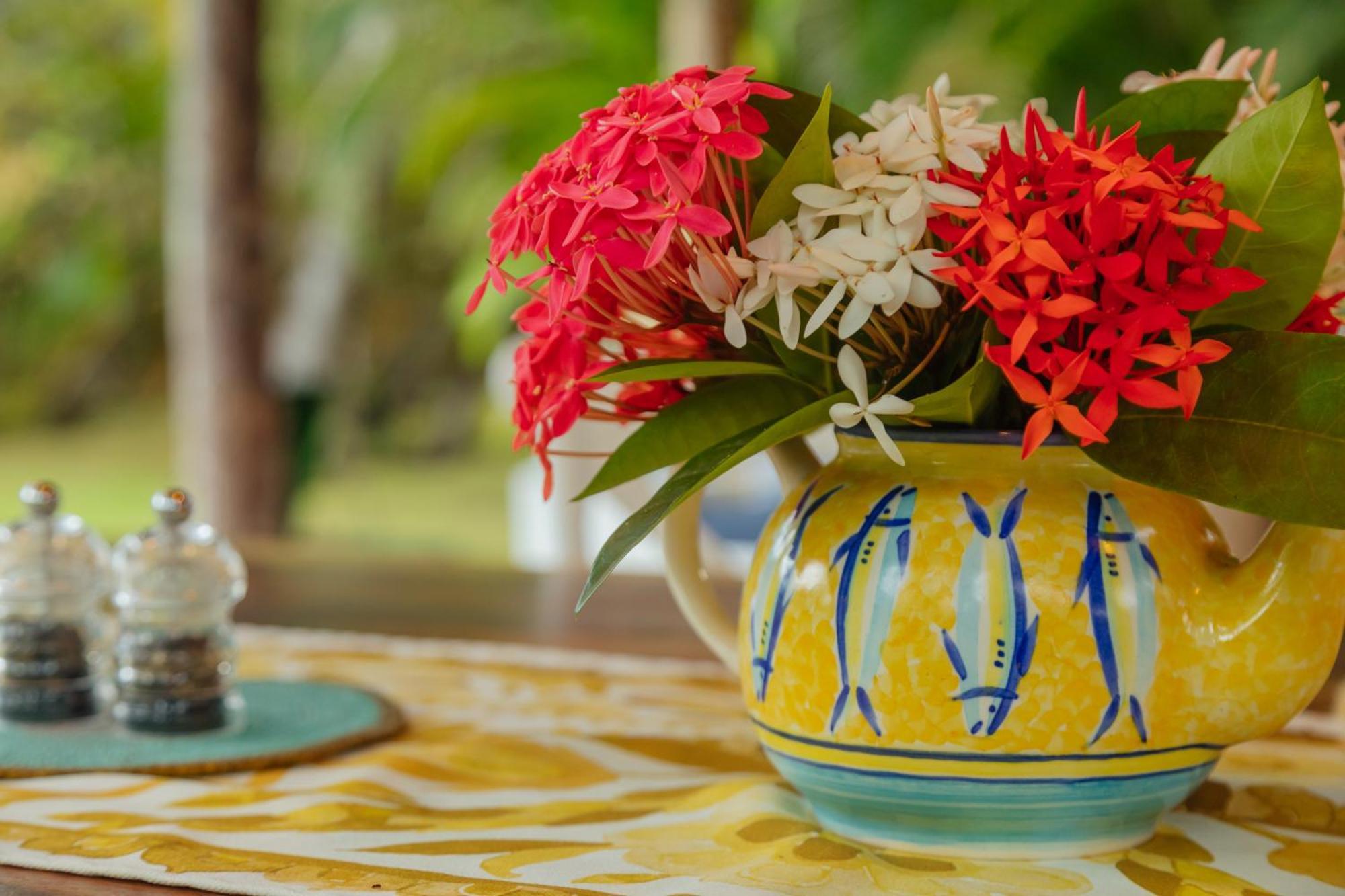 Solea Villa Tropical Santa Marta  Eksteriør bilde