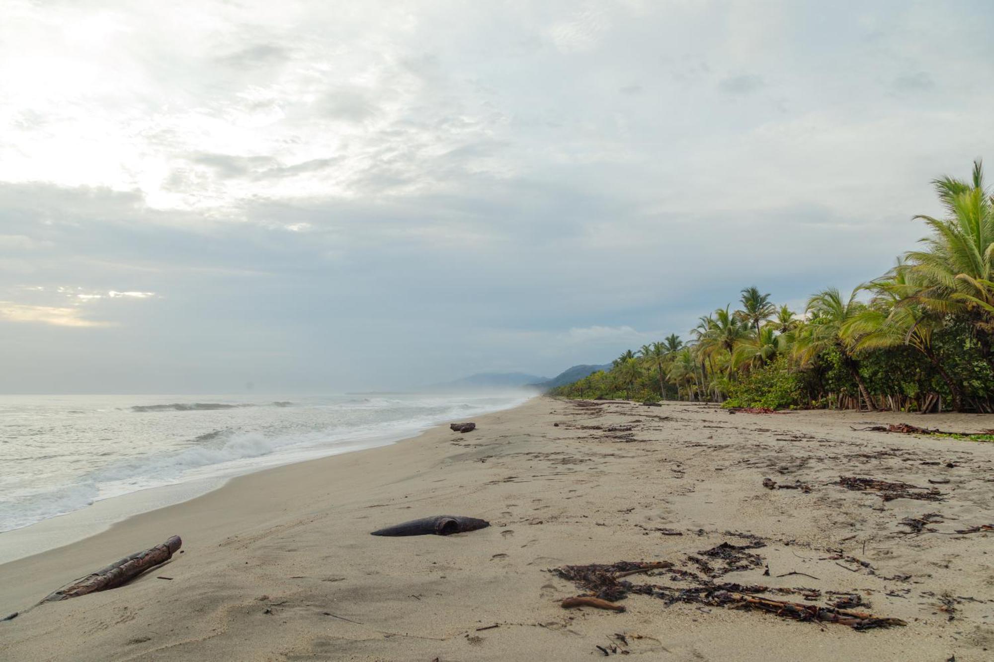 Solea Villa Tropical Santa Marta  Eksteriør bilde