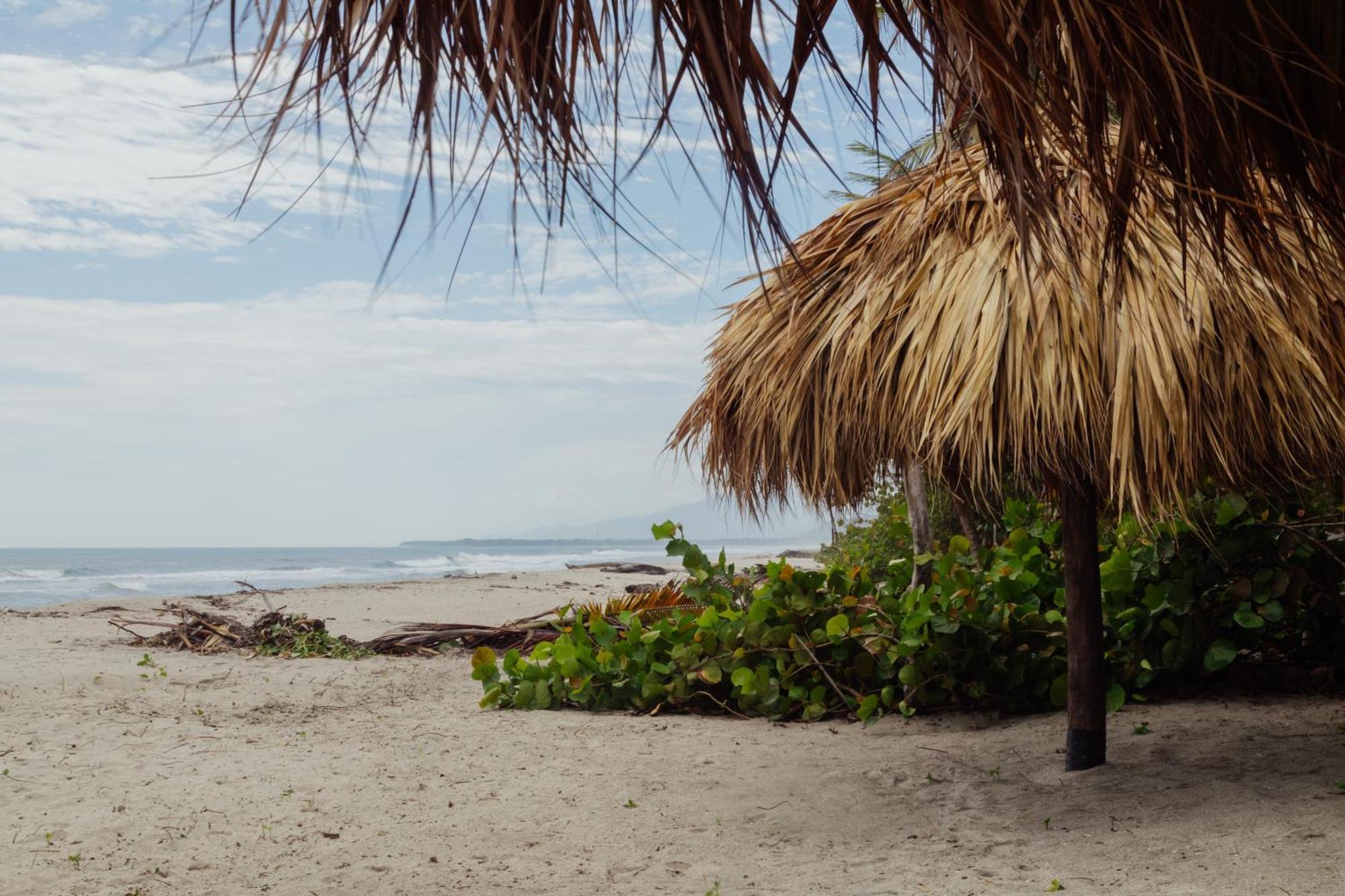 Solea Villa Tropical Santa Marta  Eksteriør bilde
