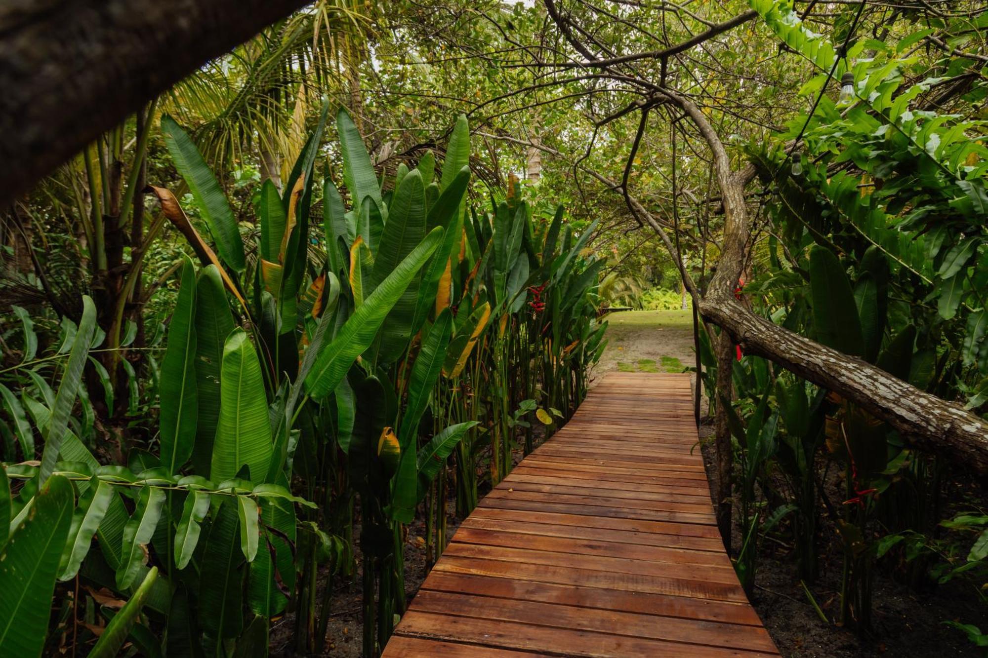 Solea Villa Tropical Santa Marta  Eksteriør bilde