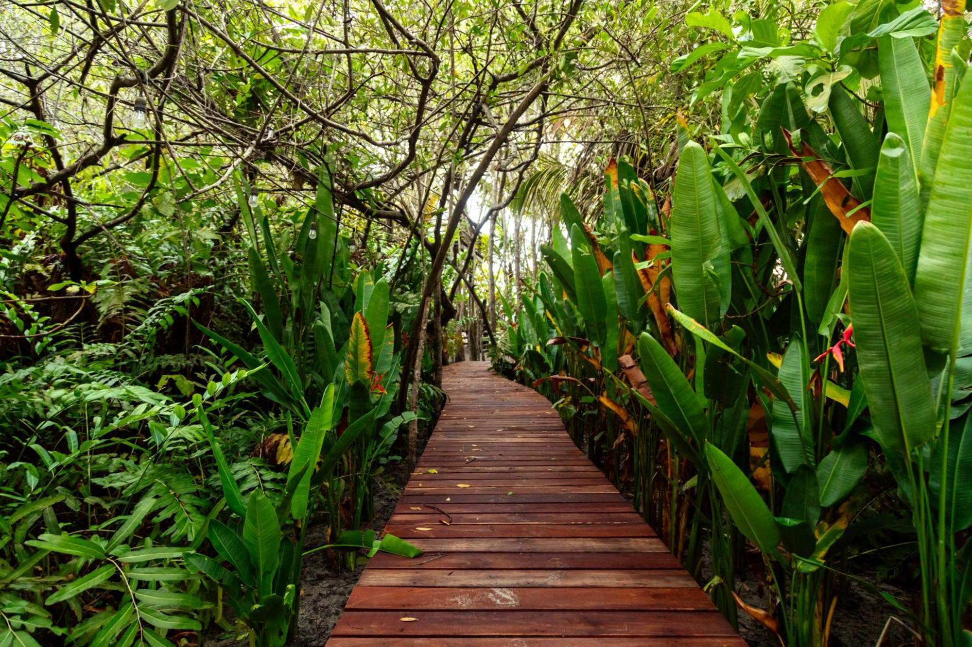 Solea Villa Tropical Santa Marta  Eksteriør bilde